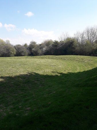 Flowerdown Bowl Barrow